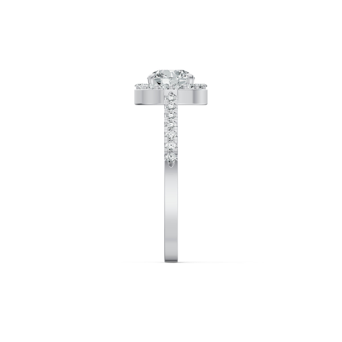 Elevated Solitaire Diamond Ring