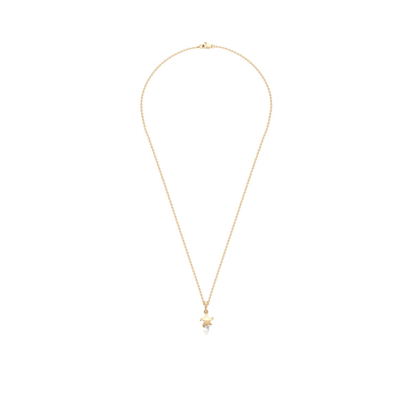 Wishing Star & Sparkle Diamond Pendant